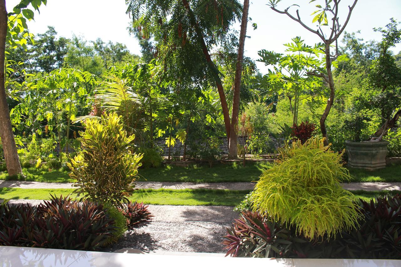 Taman Padi Villa Amed  Exterior photo